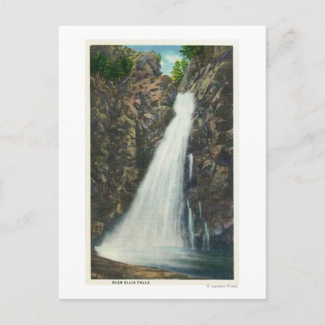 Vita bergen Nat'l Forest Vykort (Framsida)