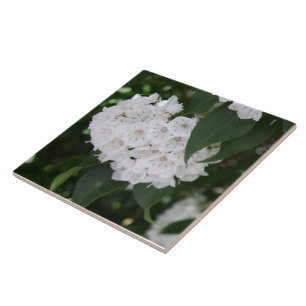 Vita bergsblommor, Grönt Löv Kakelplatta