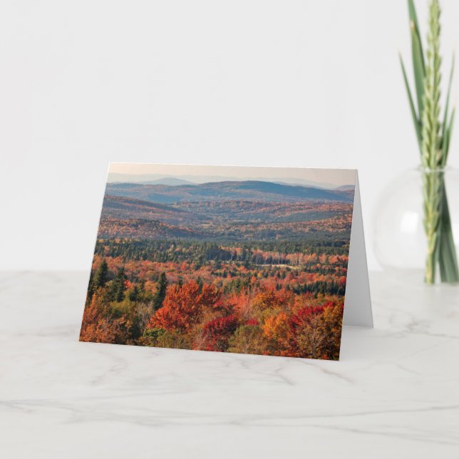Vita bergsskogen | New Hampshire Kort (Framsida)