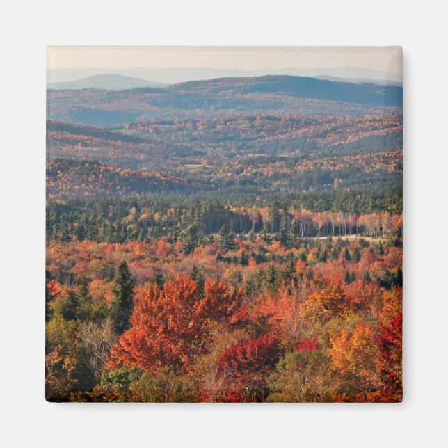 Vita bergsskogen | New Hampshire Magnet (Framsidan)