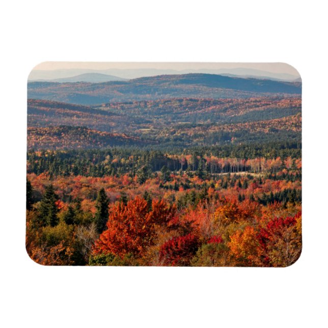 Vita bergsskogen | New Hampshire Magnet (Horisontell)
