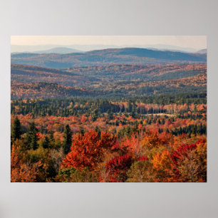 Vita bergsskogen New Hampshire Poster