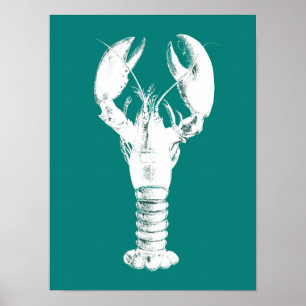 Vita blåsor på turkos / Teal Poster