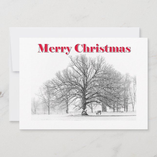 Vita blått kort för stora vinterscener (platt) (Framsida)