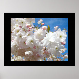 Vita Blommar Blommor Utskriftsformat Vår Poster