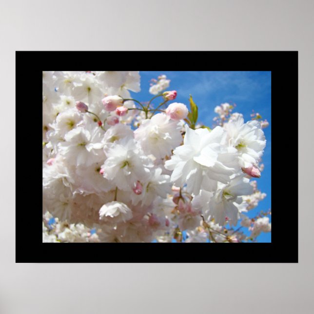 Vita Blommar Blommor Utskriftsformat Vår Poster (Framsidan)