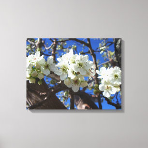 Vita Blommar Clusters Vår Blommar Pear Träd Canvastryck