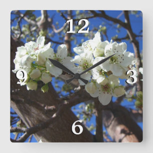 Vita Blommar Clusters Vår Blommar Pear Träd Fyrkantig Klocka