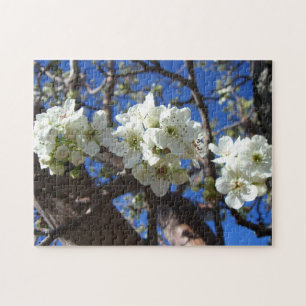 Vita Blommar Clusters Vår Blommar Pear Träd Pussel
