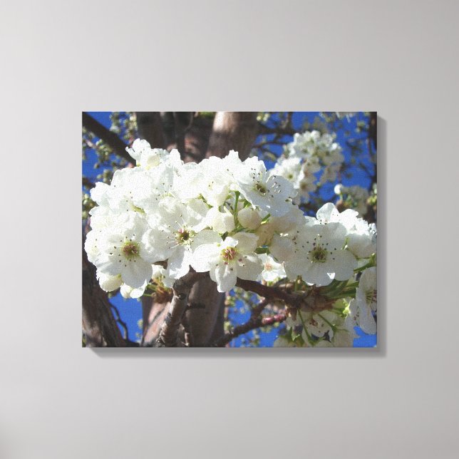 Vita Blommar II Vår Blommar Träd Canvastryck (Framsida)