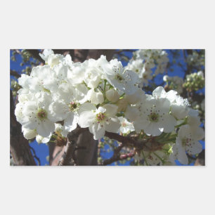 Vita Blommar II Vår Blommar Träd Rektangulärt Klistermärke