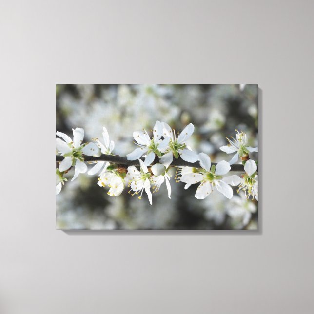Vita Blommar Photo Wrapperd Canvas (Framsida)