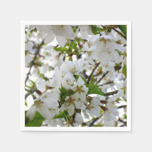 Vita blommar träd Blommar Pappersservett