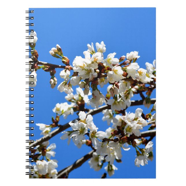 Vita blommar vår träd, vit blommigt blommar anteckningsbok med spiral (Framsidan)