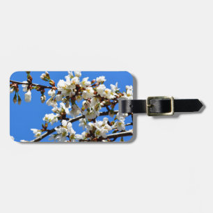 Vita blommar vår träd, vit blommigt blommar bagagebricka