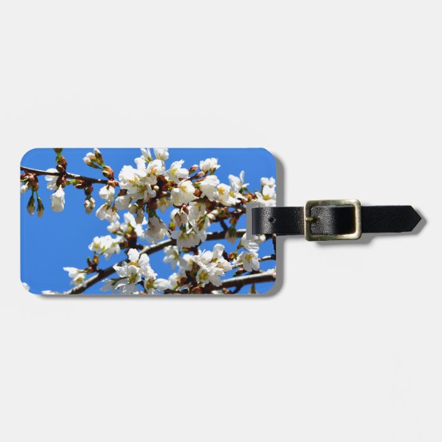 Vita blommar vår träd, vit blommigt blommar bagagebricka (Horisontell Framsida)