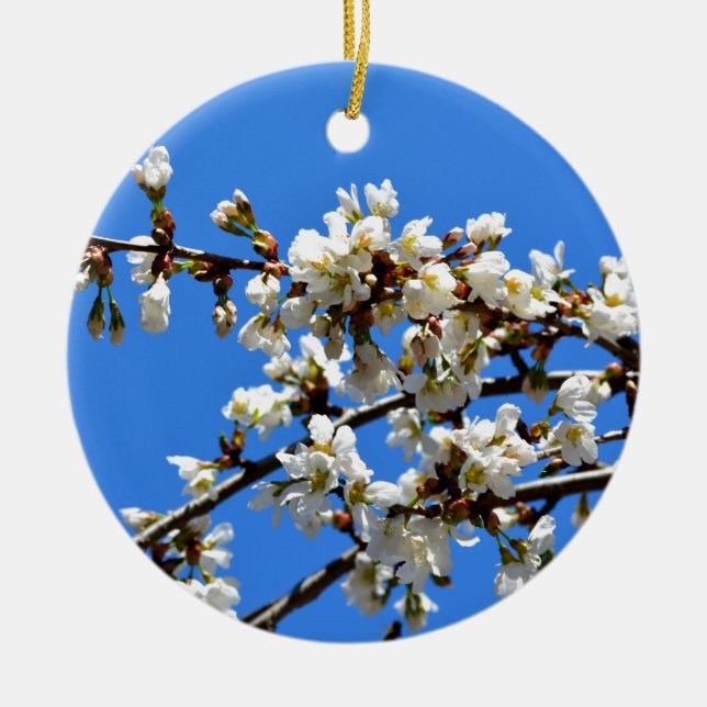 Vita blommar vår träd, vit blommigt blommar julgransprydnad keramik (Framsidan)