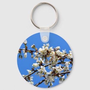 Vita blommar vår träd, vit blommigt blommar nyckelring