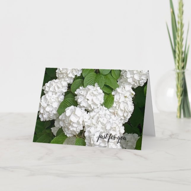 Vita blommor bara för dig-kort kort (Framsida)