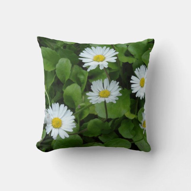 Vita blommor, Daisy Kushion 41 cm x 41 cm Kudde (Framsida)