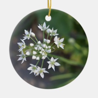 Vita blommor Fintvätt Blommar Blommigt Natur Foto Julgransprydnad Keramik