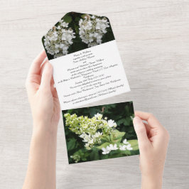 Vita Blommor Foto, Allt i Ett Bröllopsinbjudan