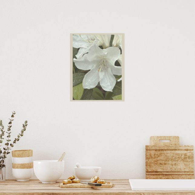 Vita blommor fotoaffisch poster (Kök)