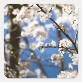 Vita blommor framför en vit himmel fyrkantigt klistermärke