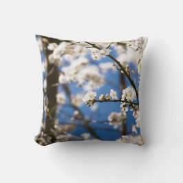 Vita blommor framför en vit himmel kudde