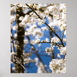 Vita blommor framför en vit himmel poster