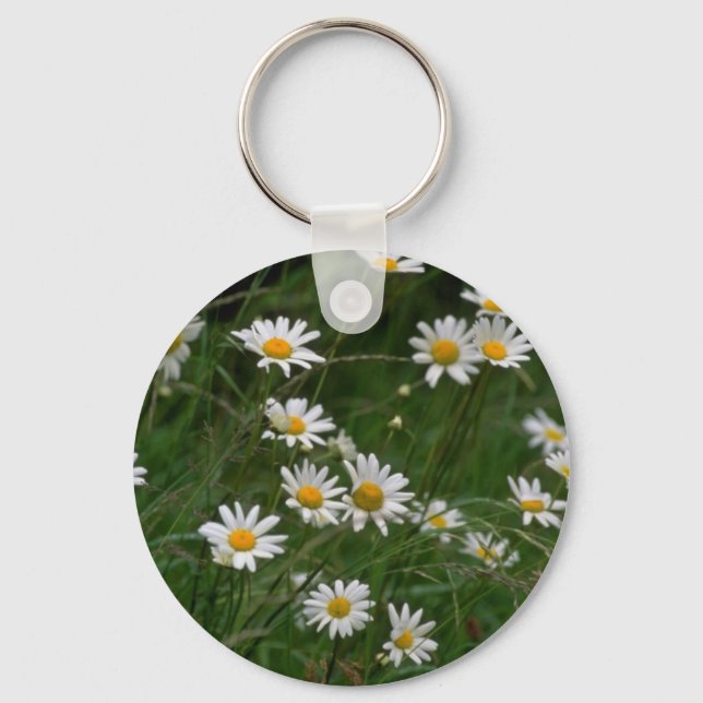 vita blommor från Oxeye-daisyn Nyckelring (Framsida)