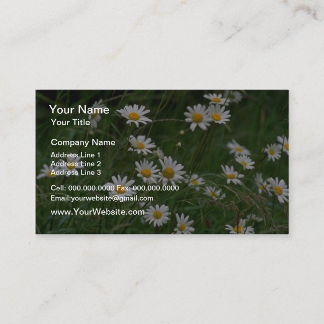 vita blommor från Oxeye-daisyn Visitkort (Framsida)