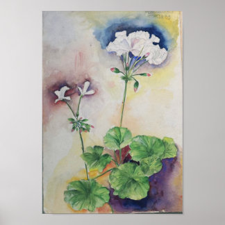 Vita blommor i akvarell – Botanisk väggkonsttryck Poster