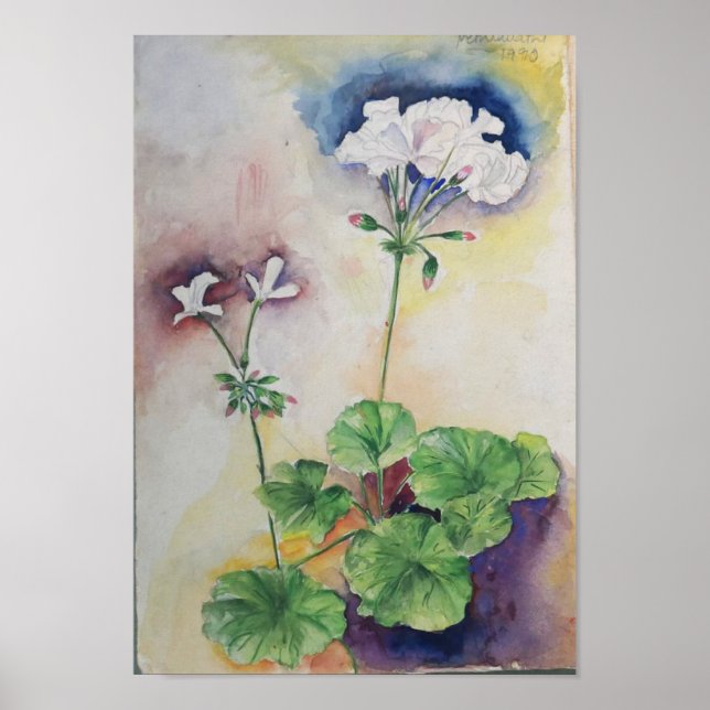 Vita blommor i akvarell – Botanisk väggkonsttryck Poster (Framsidan)