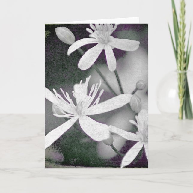 Vita blommor kort (Framsida)