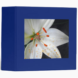vita blommor, lily,blå