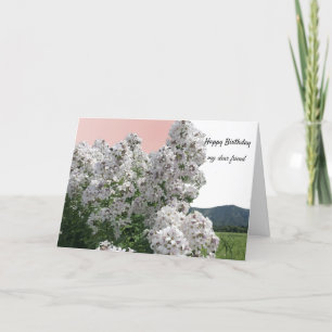 Vita blommor och natur födelsedagskort kort