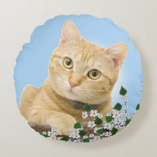 Vita blommor & rödbrun tabbykatt på ljusblått rund kudde