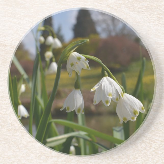 Vita blommor Snödroppar med landskapsvård Underlägg (Framsidan)