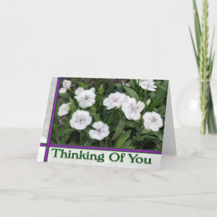 vita blommor som tänker på dig kort