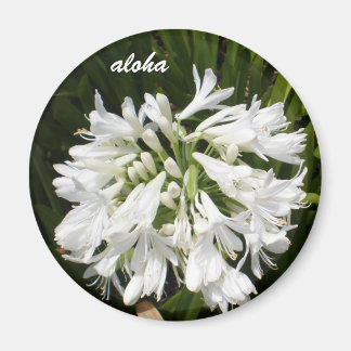 vita blomsteraloha magnet