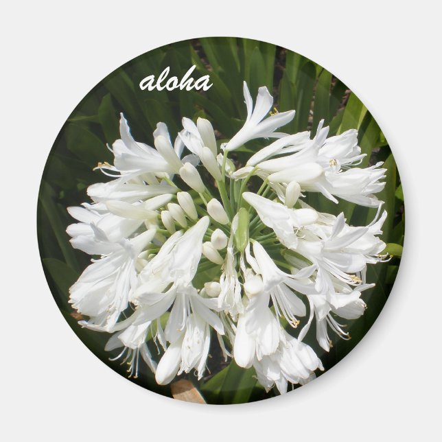 vita blomsteraloha magnet (Framsidan)