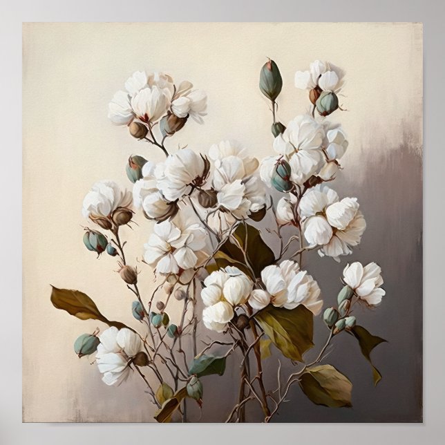 Vita bomullblommor konsttryck Poster (Framsidan)