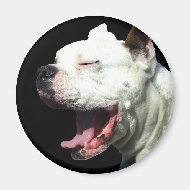 Vita Boxer-hund-magnet Magnet (Framsidan)