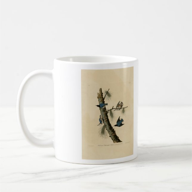 Vita bröstad nuthatch Audubon's Birds of America Kaffemugg (Vänster)