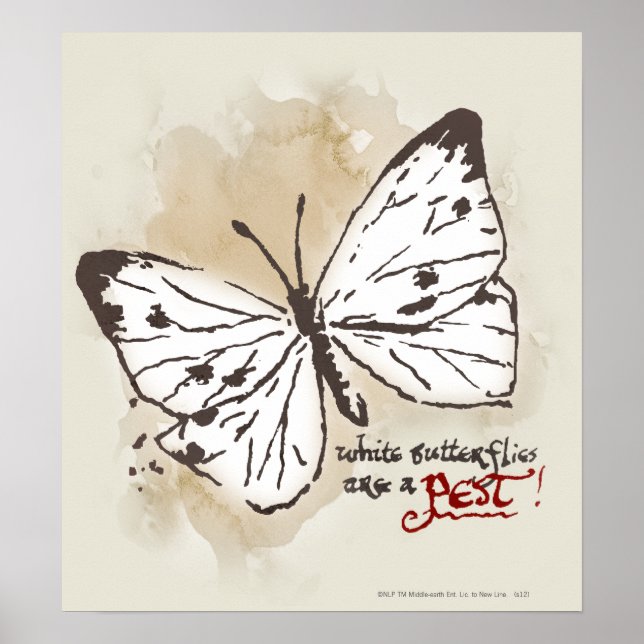 Vita Butterflies är ett plåster Poster (Framsidan)