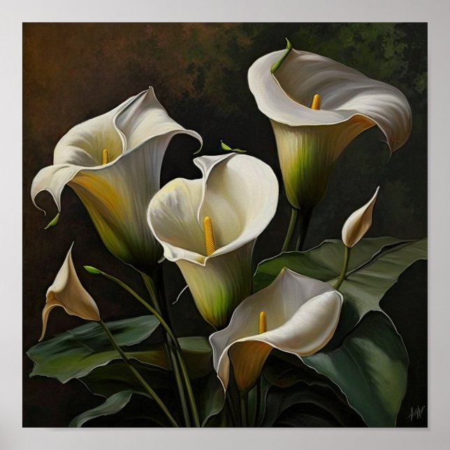 Vita Calla Lilior Lilja Blomma Konsttryck Poster (Framsidan)