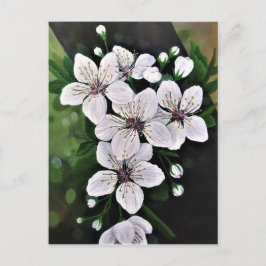 Vita Cherry Flowers Art i akryl Vykort