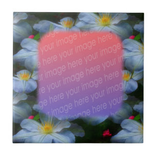 Vita Clematis blommar din fotobricka Kakelplatta