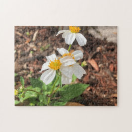Vita Cosmo Blommor Trädgård Vår Blommig Pussel